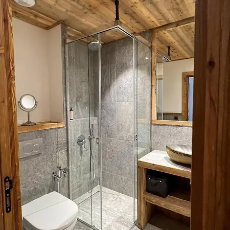Mont-blanc 4*