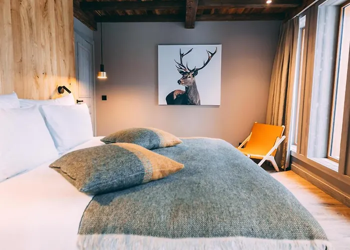 Hotel Mont-blanc