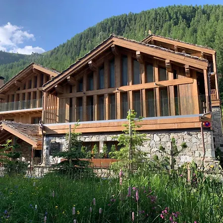Mont-blanc 4*